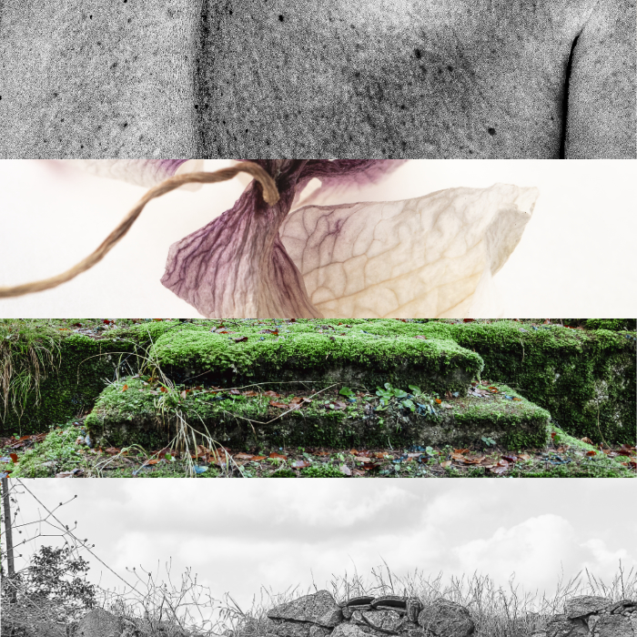 



Ausstellung
Günter Berger

24.4.2025 - 22.5.2025
Andreas Buhr

29.05.2025 - 26.6.2025